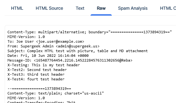 raw email example from testing sending automated email messages