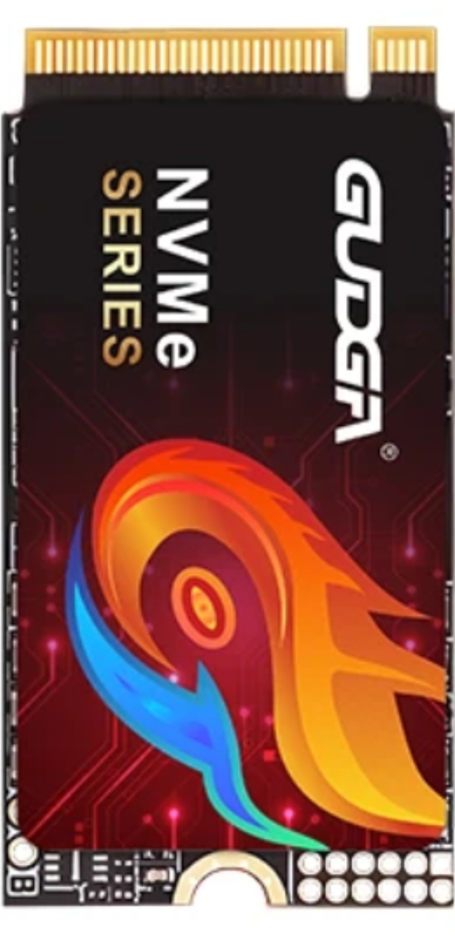 GUDGA M.2 NVMe 2242 SSD