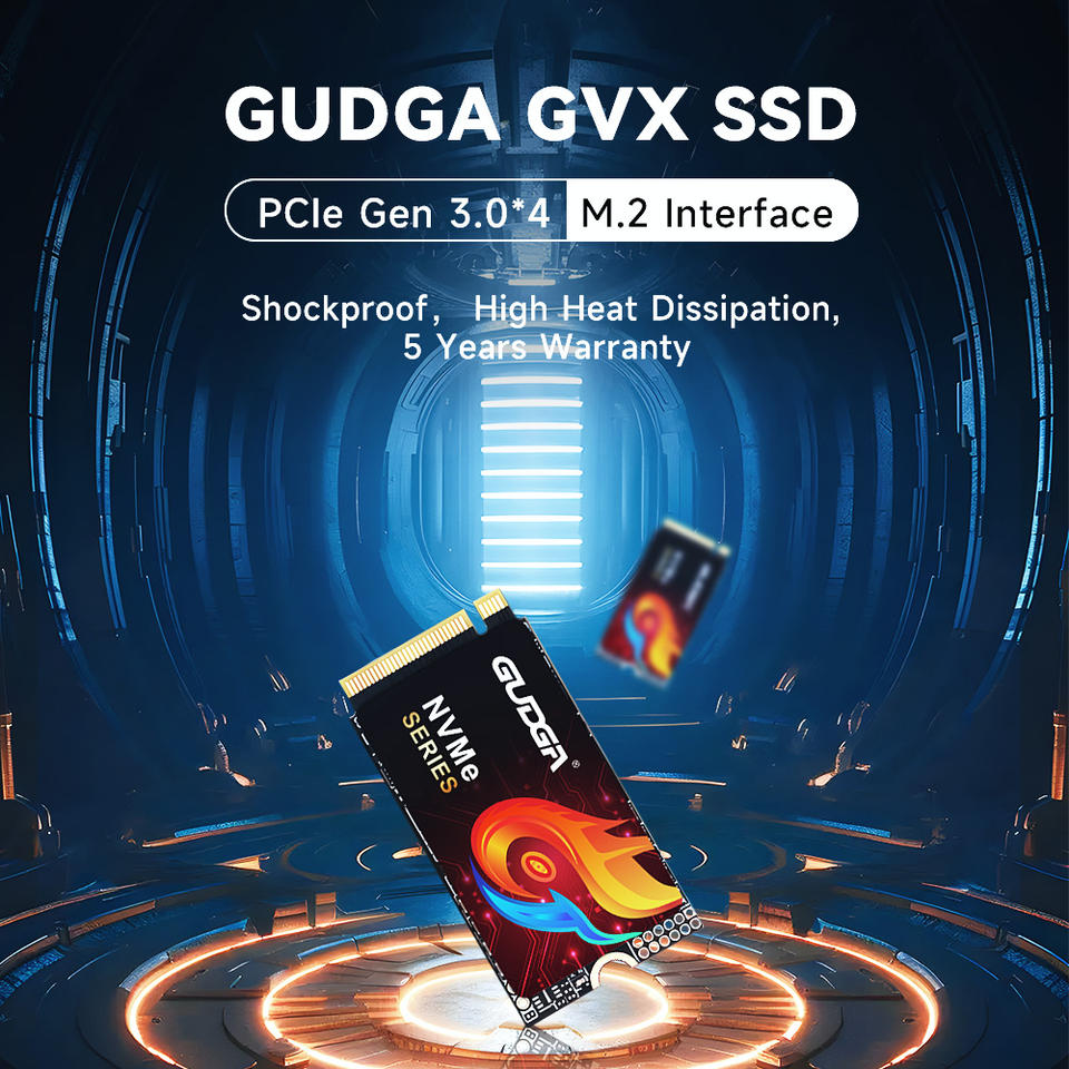 GUDGA M.2 NVMe 2242 SSD