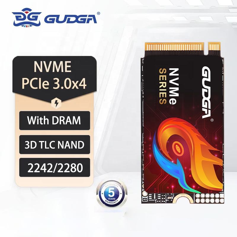 GUDGA M.2 NVMe 2242 SSD PCIe 3.0 - Image 3