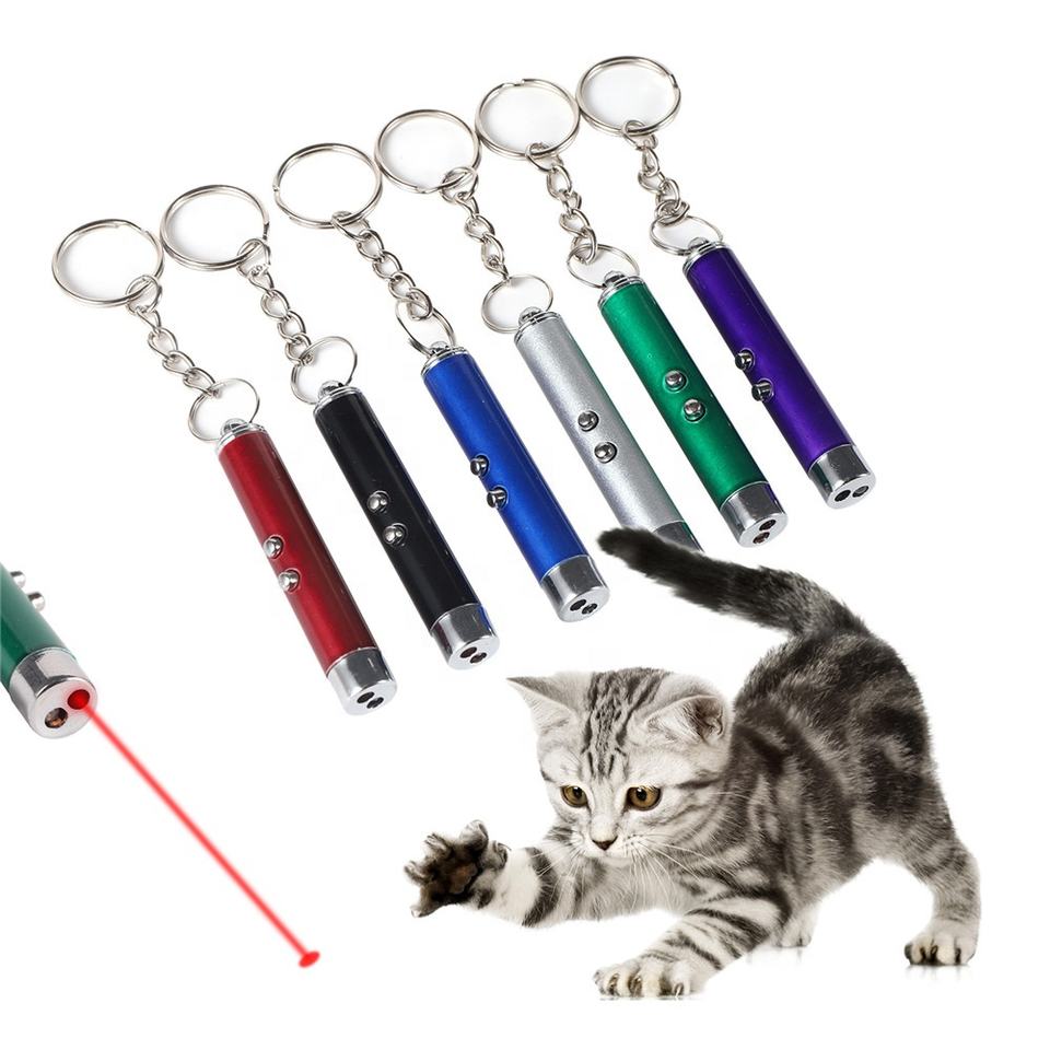LED Laser Pointer